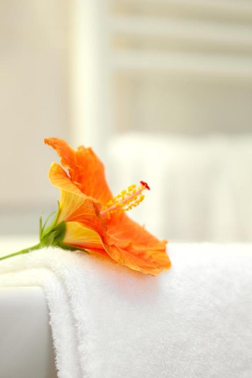 ויטראק Hotel Le Clos Roussillon Pres De Sarlat חדר תמונה